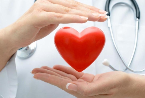شعار النظام